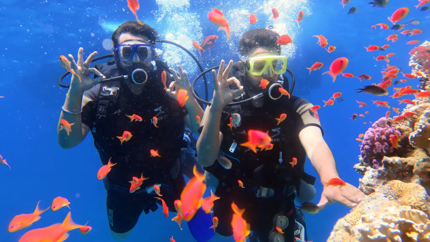 Travelers scuba diving in the Red Sea